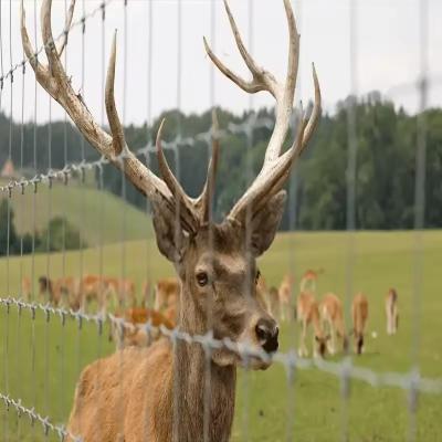 Galvanized Horse / Sheep Wire Cheap Cattle / Field Fencing Livestock Wire Grassland Fence